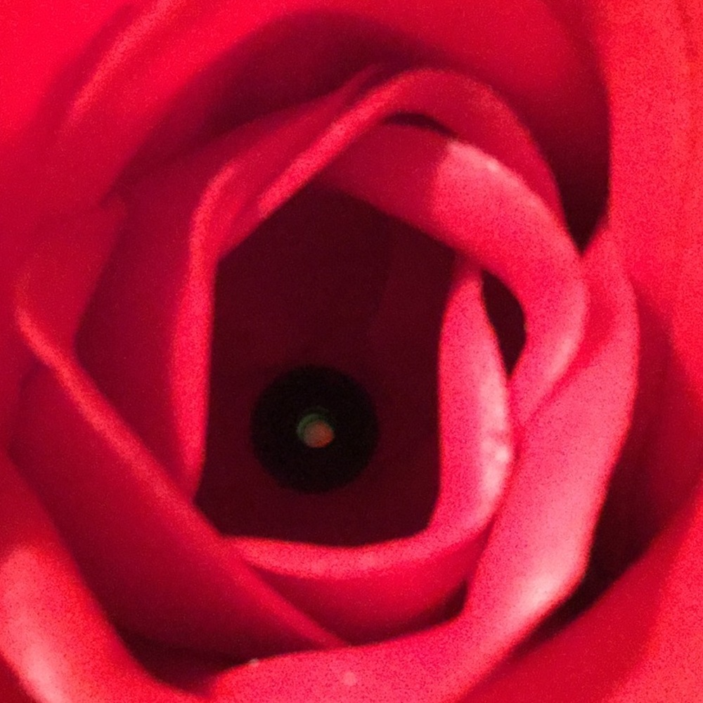 Meet your Posher, Cindy